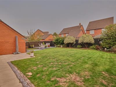 Picture 20